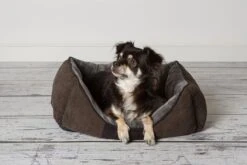 Hondenmand Zacht En Stevig, Anti-Slip En Wasbaar - Scruffs Chester Box Bed - In Grijs En Bruin In Maat S Tot XL - Kleur: Grijs, Maat: Large -Exporteren Alles Voor Honden Winkel 1200x800 94