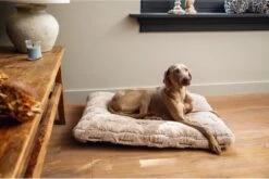 Designed By Lotte Hondenkussen Pluche Xanti Beige 70x 50 X 5 Cm 7 Designed By Lotte Hondenkussen Pluche Xanti Beige 70x 50 X 5 Cm -Exporteren Alles Voor Honden Winkel 1200x804 5