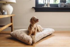 Designed By Lotte Hondenkussen Pluche Xanti Beige 100 X 68 X 5 Cm 8 Designed By Lotte Hondenkussen Pluche Xanti Beige 100 X 68 X 5 Cm -Exporteren Alles Voor Honden Winkel 1200x804 8