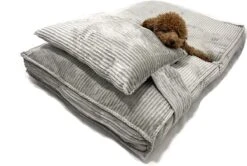 Orthopedisch Hondenkussen Grijs - Hondenmand Ribstof Premium L - Luxe Hondenbed 100x70cm - Grijs Tot 40 KG 17 Orthopedisch Hondenkussen Grijs - Hondenmand Ribstof Premium L - Luxe Hondenbed 100x70cm - Grijs Tot 40 KG -Exporteren Alles Voor Honden Winkel 1200x806 8