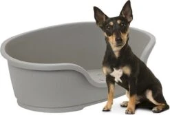 Flamingo - Hondenmand Domus - Grijs - M - 70 X 47 X 22 Cm -Exporteren Alles Voor Honden Winkel 1200x813 5