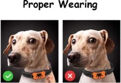 Merkloos Anti Blafband Voor Honden Blafband Anti Blaf Apparaat Blafband Zonder Schok - Diervriendelijk -Exporteren Alles Voor Honden Winkel 1200x822