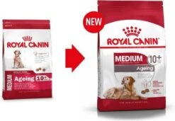 Royal Canin Medium Ageing 10+ - Hondenvoer - 15 Kg 21 Royal Canin Medium Ageing 10+ - Hondenvoer - 15 Kg -Exporteren Alles Voor Honden Winkel 1200x830