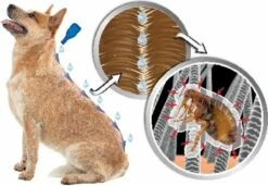 Beaphar Dimethicare Line-on Vlooien- En Tekenmiddel Hond - 15 Tot 30 Kg - 6 Pipetten 18 Beaphar Dimethicare Line-on Vlooien- En Tekenmiddel Hond - 15 Tot 30 Kg - 6 Pipetten -Exporteren Alles Voor Honden Winkel 1200x831 4