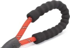 Comfortabele Hondenriem Met Gevoerd Handvat – Stevige Nylon Hondenlijn – Riem Voor Honden -Exporteren Alles Voor Honden Winkel 1200x832 2