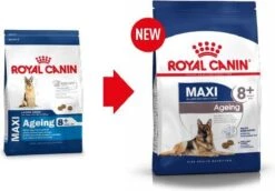 Royal Canin Maxi Ageing 8+ 15 KG -Exporteren Alles Voor Honden Winkel 1200x836