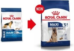 Royal Canin Maxi Adult 5+ Jaar Oud - Hondenvoer - 15 Kg 24 Royal Canin Maxi Adult 5+ Jaar Oud - Hondenvoer - 15 Kg -Exporteren Alles Voor Honden Winkel 1200x837