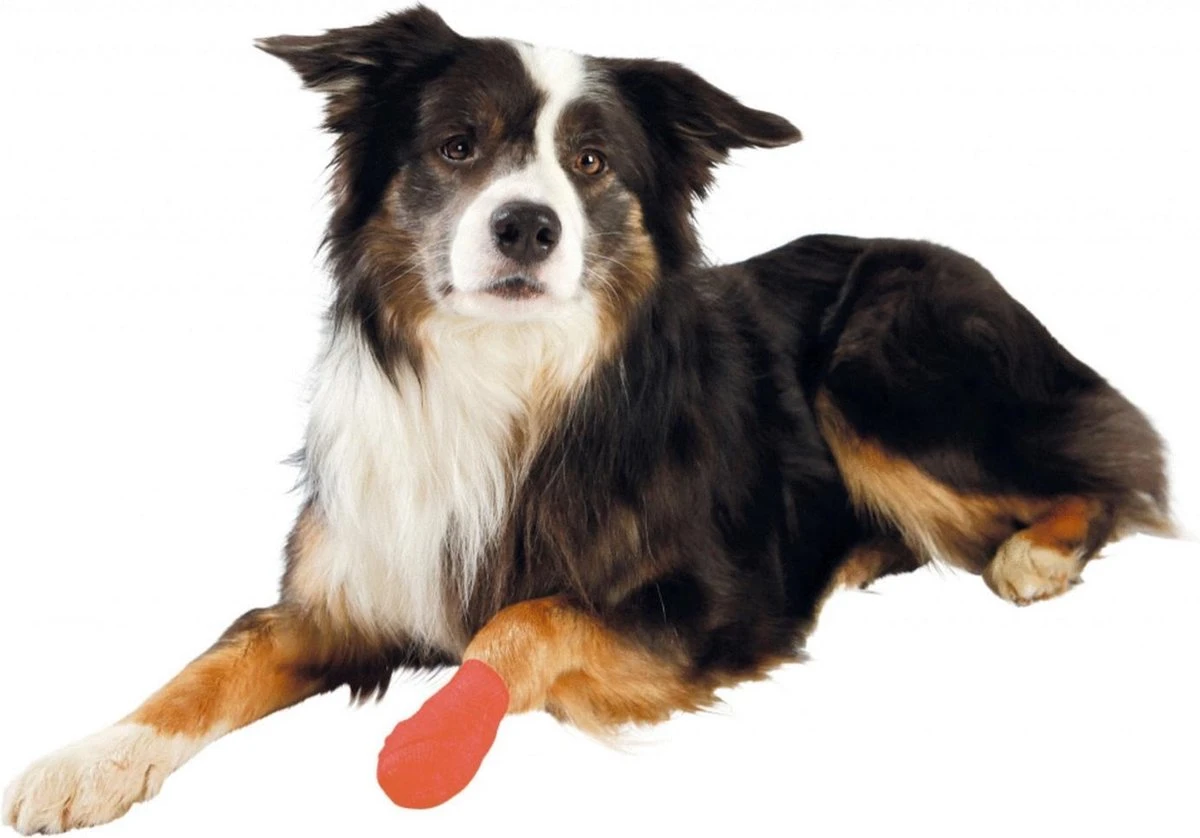 Trixie - Zelfklevend Verband - 5cm 4,5mtr - 4st 5 Trixie - Zelfklevend Verband - 5cm 4,5mtr - 4st - Afbeelding 3