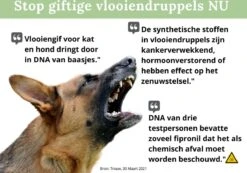 100% Natuurlijke Vlooiendruppels - Voor Grotere Honden - Van 30-40 Kg - Vlooien - Made In Holland - Zonder Schadelijke Pesticiden - Vachtdruppels 13 100% Natuurlijke Vlooiendruppels - Voor Grotere Honden - Van 30-40 Kg - Vlooien - Made In Holland - Zonder Schadelijke Pesticiden - Vachtdruppels -Exporteren Alles Voor Honden Winkel 1200x839 3