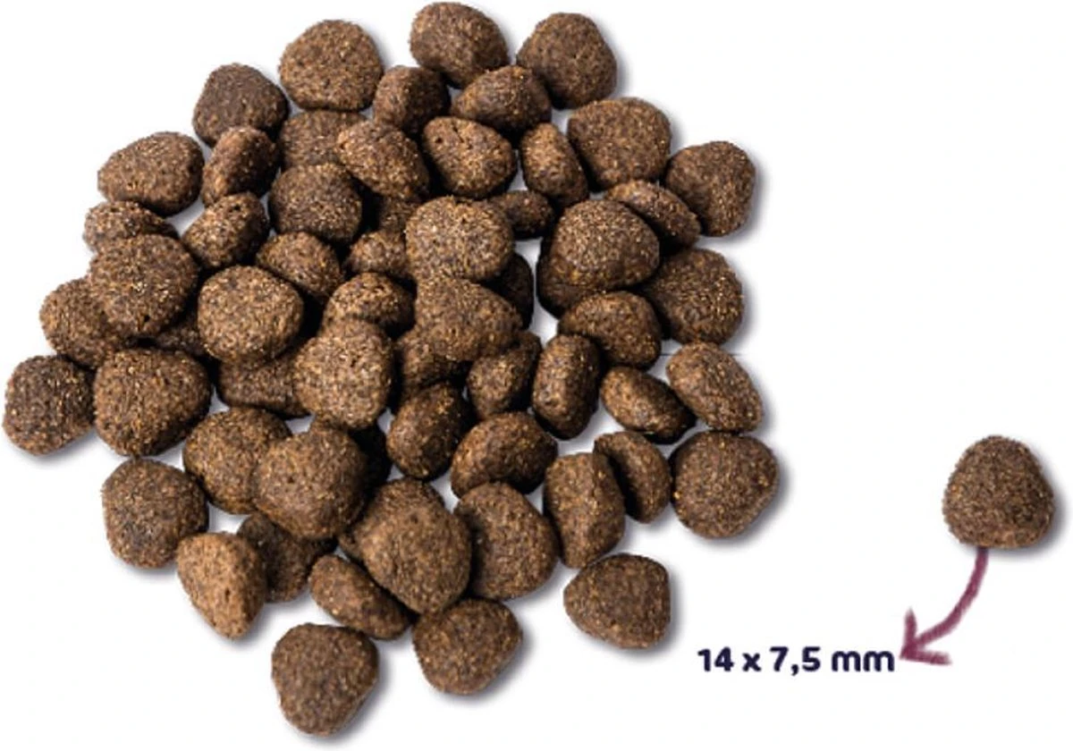 Renske Super Premium Adult Verse Zalm - Graanvrij - Hond - Droogvoer - 600 Gr 4 Renske Super Premium Adult Verse Zalm - Graanvrij - Hond - Droogvoer - 600 Gr - Afbeelding 2