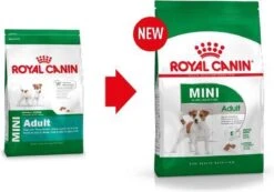 Royal Canin Mini Adult 8 KG -Exporteren Alles Voor Honden Winkel 1200x841