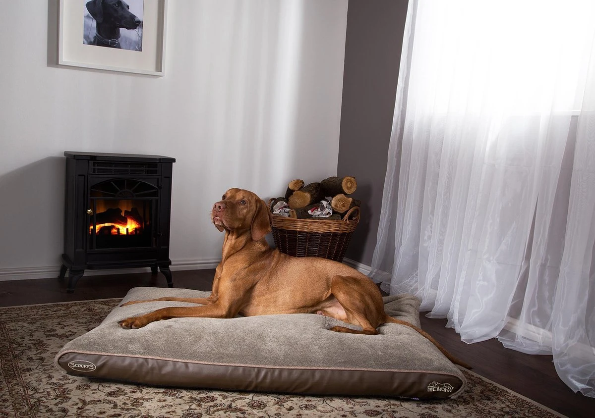 Scruffs Chateau - Hondenbed Orthopedisch Met Memory Foam Voor Extra Steun Voor Rug En Gewrichten - Grijs & Bruin Maat M/L - Kleur: Grijs, Maat: Medium 7 Scruffs Chateau - Hondenbed Orthopedisch Met Memory Foam Voor Extra Steun Voor Rug En Gewrichten - Grijs & Bruin Maat M/L - Kleur: Grijs, Maat: Medium - Afbeelding 5