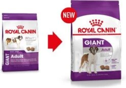 Royal Canin Giant Adult 15 KG -Exporteren Alles Voor Honden Winkel 1200x847