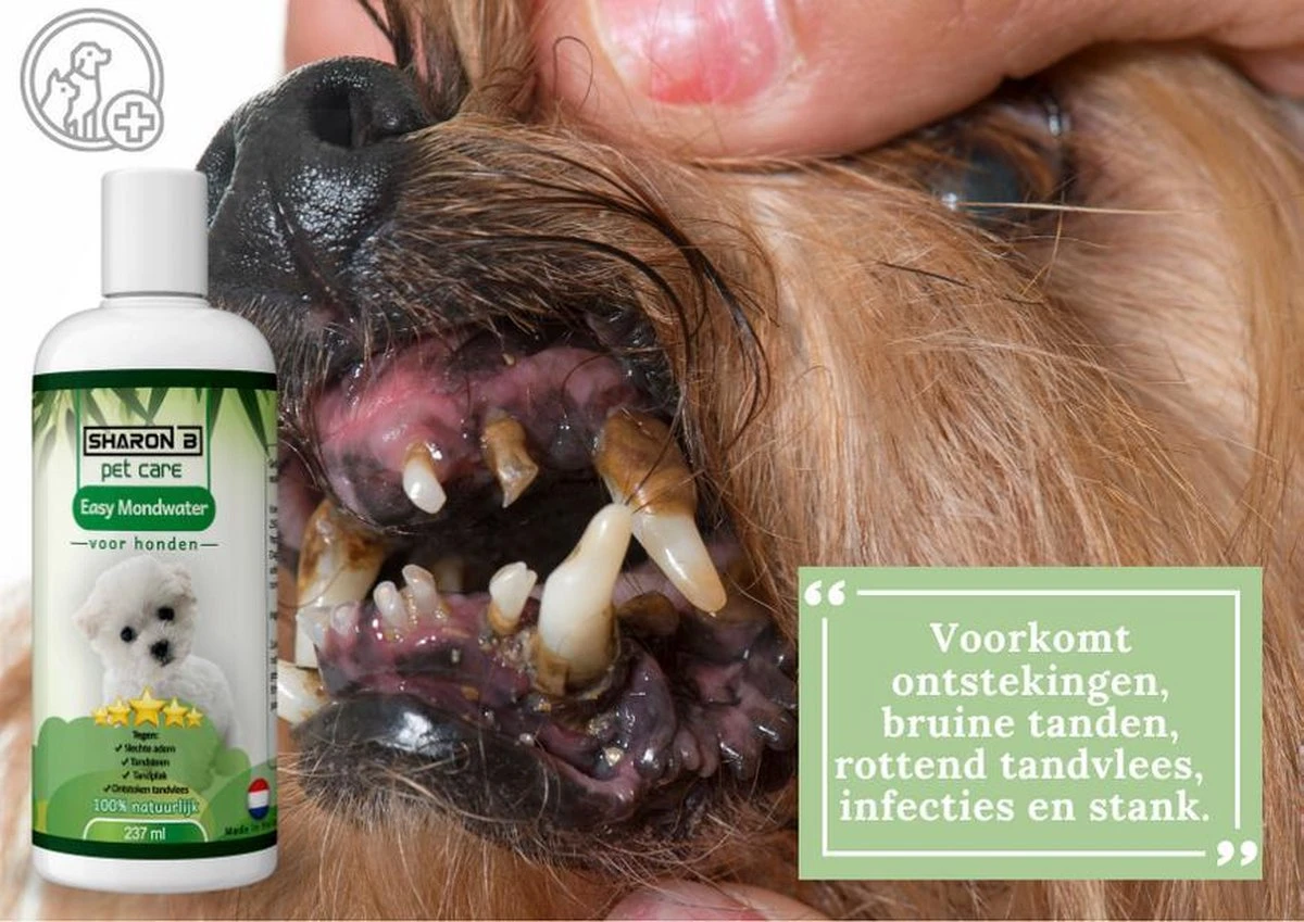Easy Mondwater Voor Honden - 237 Ml - Tegen Stinkende Adem - Tandplak - Tandsteen - Tandvleesproblemen 6 Easy Mondwater Voor Honden - 237 Ml - Tegen Stinkende Adem - Tandplak - Tandsteen - Tandvleesproblemen - Afbeelding 4
