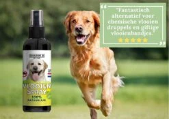 100% Natuurlijke Vlooienspray - Hond - Tegen Vlooien - 100 Ml - Vachtspray - Veilig- Verantwoord - Made In Holland -Exporteren Alles Voor Honden Winkel 1200x851 8
