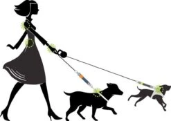 WAW Easy Dog Walk 'schokdemper' Zwart - XL - 25-40 Kg 13 WAW Easy Dog Walk 'schokdemper' Zwart - XL - 25-40 Kg -Exporteren Alles Voor Honden Winkel 1200x852 2