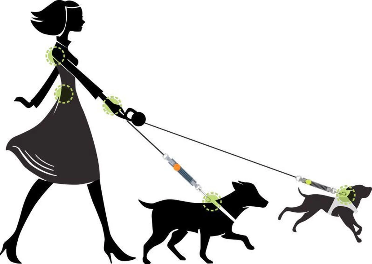 WAW Easy Dog Walk 'schokdemper' Zwart - XL - 25-40 Kg 8 WAW Easy Dog Walk 'schokdemper' Zwart - XL - 25-40 Kg - Afbeelding 6