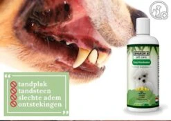 Easy Mondwater Voor Honden - 237 Ml - Tegen Stinkende Adem - Tandplak - Tandsteen - Tandvleesproblemen 16 Easy Mondwater Voor Honden - 237 Ml - Tegen Stinkende Adem - Tandplak - Tandsteen - Tandvleesproblemen -Exporteren Alles Voor Honden Winkel 1200x852 6