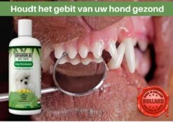 Easy Mondwater Voor Honden - 237 Ml - Tegen Stinkende Adem - Tandplak - Tandsteen - Tandvleesproblemen 17 Easy Mondwater Voor Honden - 237 Ml - Tegen Stinkende Adem - Tandplak - Tandsteen - Tandvleesproblemen -Exporteren Alles Voor Honden Winkel 1200x852 7