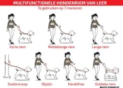 Multifunctionele Hondenriem - 220cm - Bruin - Leren Hondenriem - 100% Volnerfleer - Hondenriem Leer - Leiband Hond -Exporteren Alles Voor Honden Winkel 1200x853 1