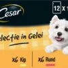 Cesar Selectie In Gelei Maaltijdzakjes Honden Natvoer - Vlees En Groenten In Gelei - 48 X 100g -Exporteren Alles Voor Honden Winkel 1200x861 1
