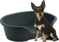 Flamingo - Hondenmand Domus - S - Zwart - 50/58 X 38 X 20 Cm 11 Flamingo - Hondenmand Domus - S - Zwart - 50/58 X 38 X 20 Cm -Exporteren Alles Voor Honden Winkel 1200x861 2