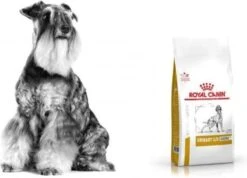 Royal Canin Veterinary Diet Urinary S/O Ageing 7+ Hond 8kg -Exporteren Alles Voor Honden Winkel 1200x864