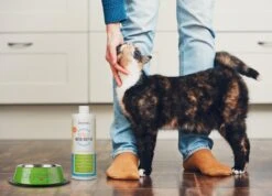 OxyFresh Pet Mondwater Hond En Kat. Helpt Tegen Tandsteen, Plak En Vieze Ademgeurtjes -Exporteren Alles Voor Honden Winkel 1200x864 9