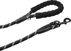 Comfortabele Hondenriem Met Gevoerd Handvat – Stevige Nylon Hondenlijn – Riem Voor Honden -Exporteren Alles Voor Honden Winkel 1200x871