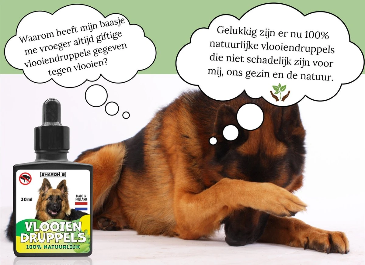 100% Natuurlijke Vlooiendruppels - Voor Grotere Honden - Van 30-40 Kg - Vlooien - Made In Holland - Zonder Schadelijke Pesticiden - Vachtdruppels 7 100% Natuurlijke Vlooiendruppels - Voor Grotere Honden - Van 30-40 Kg - Vlooien - Made In Holland - Zonder Schadelijke Pesticiden - Vachtdruppels - Afbeelding 5