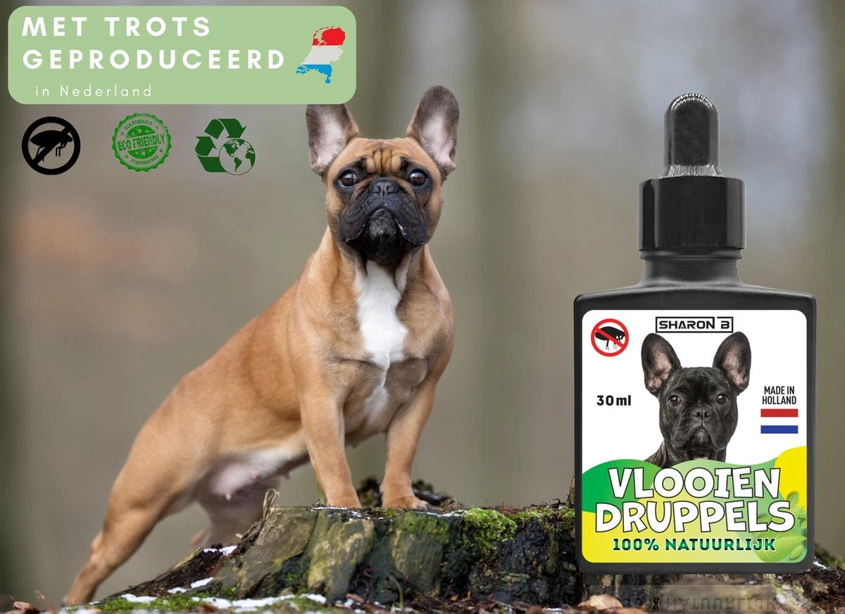 100% Natuurlijke Vlooiendruppels Voor Honden - Van 10-20 Kg - Vlooien - Made In Holland - Zonder Schadelijke Pesticiden - Vachtdruppels 4 100% Natuurlijke Vlooiendruppels Voor Honden - Van 10-20 Kg - Vlooien - Made In Holland - Zonder Schadelijke Pesticiden - Vachtdruppels - Afbeelding 2