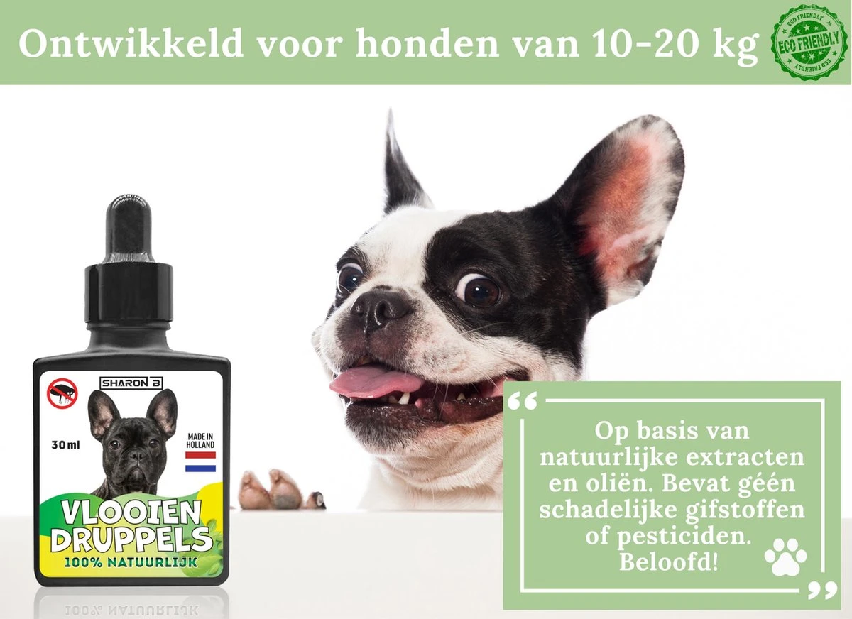 100% Natuurlijke Vlooiendruppels Voor Honden - Van 10-20 Kg - Vlooien - Made In Holland - Zonder Schadelijke Pesticiden - Vachtdruppels 8 100% Natuurlijke Vlooiendruppels Voor Honden - Van 10-20 Kg - Vlooien - Made In Holland - Zonder Schadelijke Pesticiden - Vachtdruppels - Afbeelding 6
