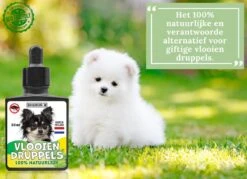 100% Natuurlijke Vlooiendruppels - Vachtdruppels - Voor Kleine Honden Tot 10 Kg - Hondendruppels - Vlooien -Exporteren Alles Voor Honden Winkel 1200x872 8
