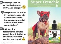 100% Natuurlijke Vlooiendruppels Voor Honden - Van 10-20 Kg - Vlooien - Made In Holland - Zonder Schadelijke Pesticiden - Vachtdruppels 12 100% Natuurlijke Vlooiendruppels Voor Honden - Van 10-20 Kg - Vlooien - Made In Holland - Zonder Schadelijke Pesticiden - Vachtdruppels -Exporteren Alles Voor Honden Winkel 1200x873 3