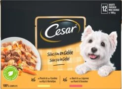 Cesar Selectie In Gelei Maaltijdzakjes Honden Natvoer - Vlees En Groenten In Gelei - 48 X 100g 9 Cesar Selectie In Gelei Maaltijdzakjes Honden Natvoer - Vlees En Groenten In Gelei - 48 X 100g -Exporteren Alles Voor Honden Winkel 1200x874