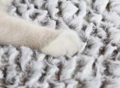 Merkloos Zelfverwarmende Dierendeken Zonder Stroom Thermo Deken Hond Kat Inclusief Adreslabel 70 X 47 Cm 16 Merkloos Zelfverwarmende Dierendeken Zonder Stroom Thermo Deken Hond Kat Inclusief Adreslabel 70 X 47 Cm -Exporteren Alles Voor Honden Winkel 1200x878 4