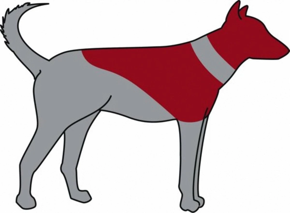 Trixie Opblaasbare Beschermkraag S - Dierenbeschermkraag 5 Trixie Opblaasbare Beschermkraag S - Dierenbeschermkraag - Afbeelding 3