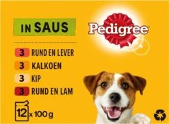 Pedigree Adult Honden Natvoer - Vlees & Gevogelte In Saus - 48 X 100g 7 Pedigree Adult Honden Natvoer - Vlees & Gevogelte In Saus - 48 X 100g -Exporteren Alles Voor Honden Winkel 1200x884