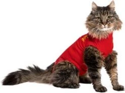 Medical Pet Shirt Kat - Rood - XXS -Exporteren Alles Voor Honden Winkel 1200x888 2