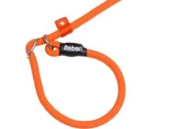 Rebel Petz - Honden Trainingslijn Met Halsband - Taupe, Zwart, Groen & Oranje - Maat Small Of Large - Kleur: Oranje, Maat: Large -Exporteren Alles Voor Honden Winkel 1200x893 1