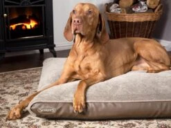 Scruffs Chateau - Hondenbed Orthopedisch Met Memory Foam Voor Extra Steun Voor Rug En Gewrichten - Grijs & Bruin Maat M/L - Kleur: Grijs, Maat: Large 29 Scruffs Chateau - Hondenbed Orthopedisch Met Memory Foam Voor Extra Steun Voor Rug En Gewrichten - Grijs & Bruin Maat M/L - Kleur: Grijs, Maat: Large -Exporteren Alles Voor Honden Winkel 1200x898 4