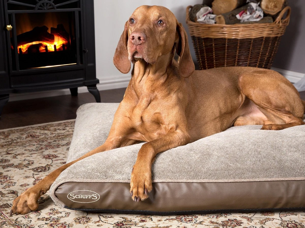 Scruffs Chateau - Hondenbed Orthopedisch Met Memory Foam Voor Extra Steun Voor Rug En Gewrichten - Grijs & Bruin Maat M/L - Kleur: Grijs, Maat: Medium 10 Scruffs Chateau - Hondenbed Orthopedisch Met Memory Foam Voor Extra Steun Voor Rug En Gewrichten - Grijs & Bruin Maat M/L - Kleur: Grijs, Maat: Medium - Afbeelding 8