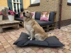 Madison Pets Hondenkussen Panama Grijs - 120 X 80cm -Exporteren Alles Voor Honden Winkel 1200x899 6