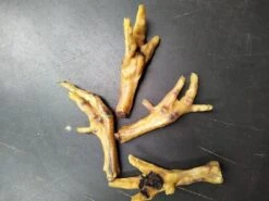 Kip Poten Kippenpootjes Kippenpoten Hond 5kg Van De Snackmeester 100% Natuurlijk Natural Naturel