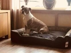 Hondenmand Cordura XXXL – Donkergrijs - 125 X 90 X 24 Cm -Exporteren Alles Voor Honden Winkel 1200x900 30