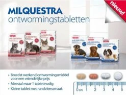 Beaphar Milquestra Kleine Hond/Puppy - Ontwormingsmiddel - 2 Tabletten -Exporteren Alles Voor Honden Winkel 1200x904 3
