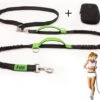 Filo Elastische Hondenriem Groot - Hardlopen En Wandelen - Hardloopriem Hond Handsfree Met Heuptasje - Looplijn Met Heupriem - Canicross Gordel Honden - Riemen - Heupgordel - Leiband -Exporteren Alles Voor Honden Winkel 1200x908 2