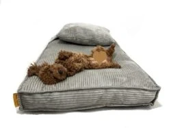 Orthopedisch Hondenkussen Grijs - Hondenmand Ribstof Premium L - Luxe Hondenbed 100x70cm - Grijs Tot 40 KG 18 Orthopedisch Hondenkussen Grijs - Hondenmand Ribstof Premium L - Luxe Hondenbed 100x70cm - Grijs Tot 40 KG -Exporteren Alles Voor Honden Winkel 1200x910 3