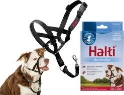 Halti Headcollar - Maat 2 15 Halti Headcollar - Maat 2 -Exporteren Alles Voor Honden Winkel 1200x916 1