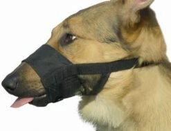 Beeztees Comfort Muilband - Hond - M - 15-20 Cm -Exporteren Alles Voor Honden Winkel 1200x918 2